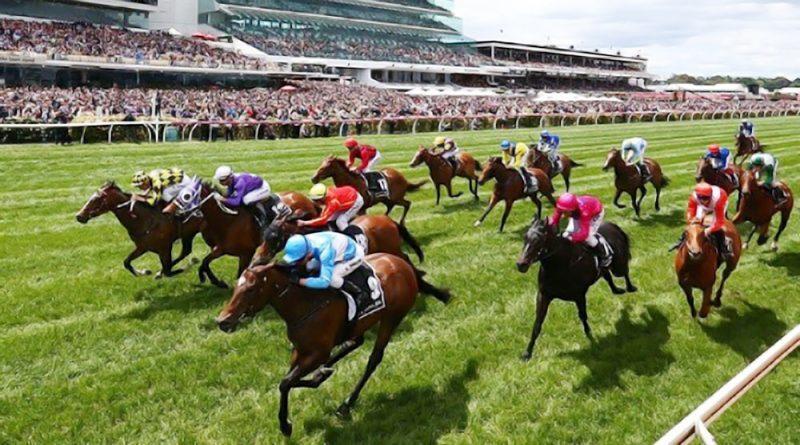 kinh-nghiem-choi-dua-ngua